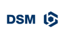 www.dsm.com
